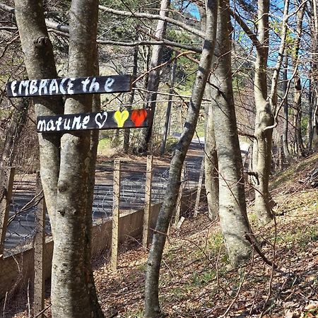 Shkreli Resort Qafeshtame Cudhi-Kamt Exteriör bild
