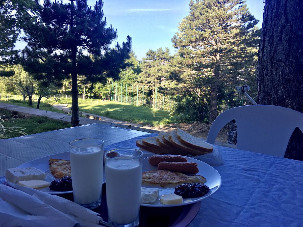 Shkreli Resort Qafeshtame Cudhi-Kamt Exteriör bild